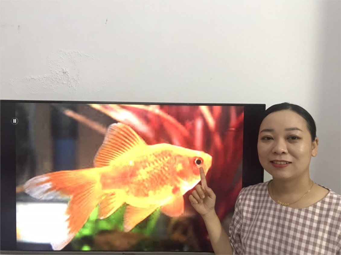 Ảnh đại diện